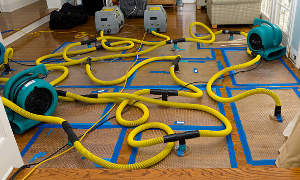 Professional Basement Flood Cleanup technician working in Kendall Park, NJ